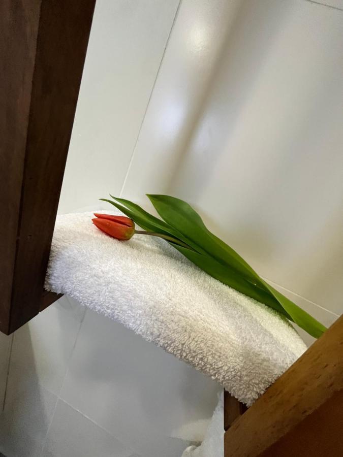 Mala Nedelja Apartma Ksela מראה חיצוני תמונה